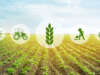 Agriculture Sector Leads Africa’s AI Growth and Development, Reports GSMA