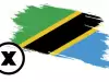 Tanzania Blocks Access to X Amid Political Unrest